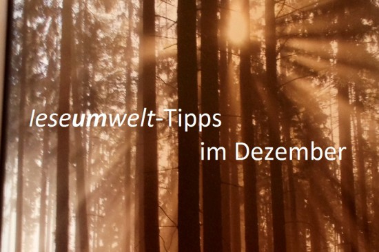 Buchtipps_Dezember